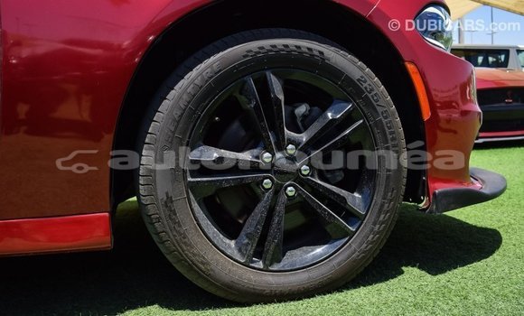 Acheter Import Voiture Dodge Charger Rouge à Import - Dubai, Iles Acheter Import Voiture Dodge Charger Rouge à Import - Dubai, Iles