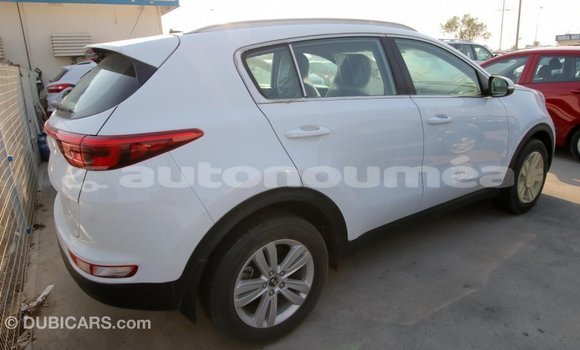 Acheter Import Voiture Kia Sportage Blanc à Import - Dubai, Iles Acheter Import Voiture Kia Sportage Blanc à Import - Dubai, Iles