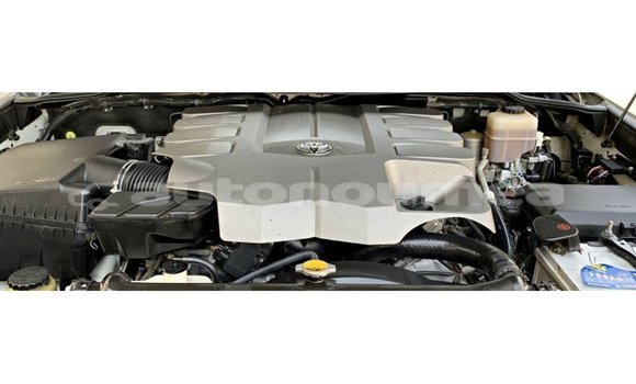 Buy Import Toyota Land Cruiser White Car in Import - Dubai in Iles Buy Import Toyota Land Cruiser White Car in Import - Dubai in Iles