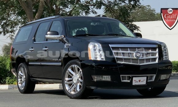 Buy Import Cadillac Escalade Black Car in Import - Dubai in Iles