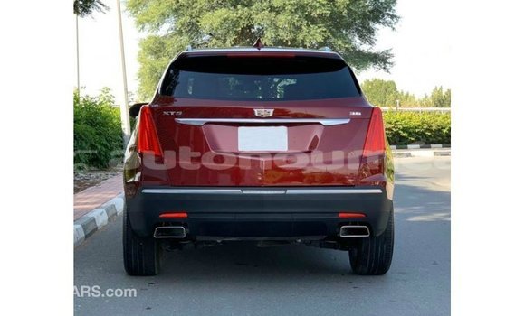 Buy Import Cadillac XT5 Red Car in Import - Dubai in Iles Buy Import Cadillac XT5 Red Car in Import - Dubai in Iles
