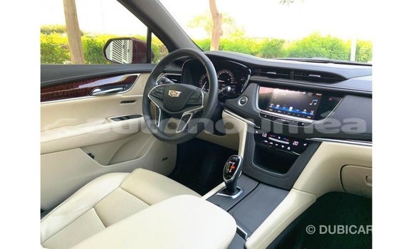 Buy Import Cadillac XT5 Red Car in Import - Dubai in Iles Buy Import Cadillac XT5 Red Car in Import - Dubai in Iles