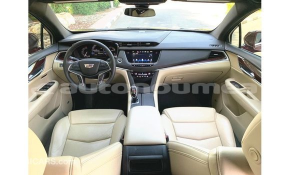 Buy Import Cadillac XT5 Red Car in Import - Dubai in Iles Buy Import Cadillac XT5 Red Car in Import - Dubai in Iles