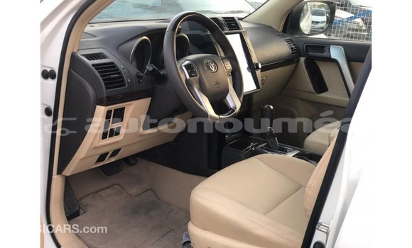 Buy Import Toyota Prado White Car in Import - Dubai in Iles Buy Import Toyota Prado White Car in Import - Dubai in Iles