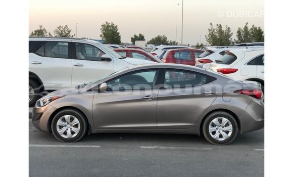 Buy Import Hyundai Elantra Brown Car in Import - Dubai in Iles Buy Import Hyundai Elantra Brown Car in Import - Dubai in Iles