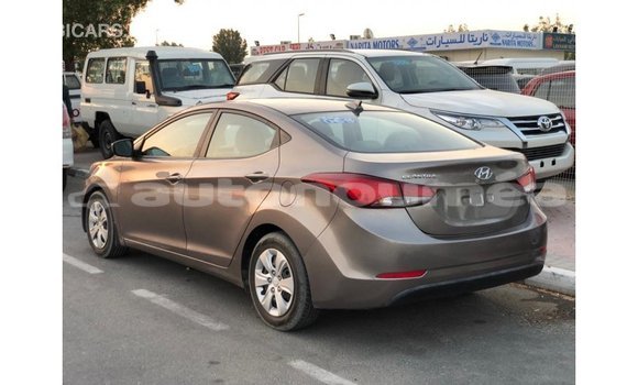 Buy Import Hyundai Elantra Brown Car in Import - Dubai in Iles Buy Import Hyundai Elantra Brown Car in Import - Dubai in Iles