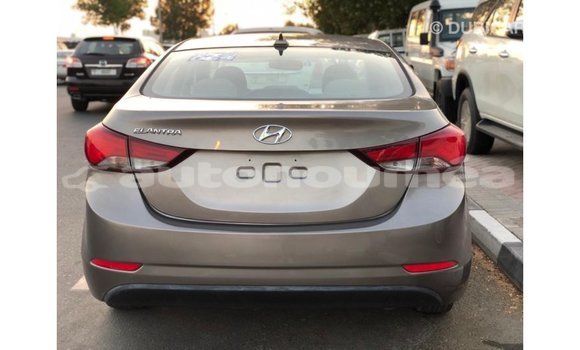 Buy Import Hyundai Elantra Brown Car in Import - Dubai in Iles Buy Import Hyundai Elantra Brown Car in Import - Dubai in Iles