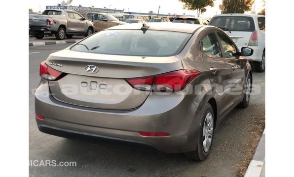 Buy Import Hyundai Elantra Brown Car in Import - Dubai in Iles Buy Import Hyundai Elantra Brown Car in Import - Dubai in Iles