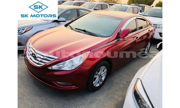 Acheter Import Voiture Hyundai Sonata Rouge à Import - Dubai, Iles