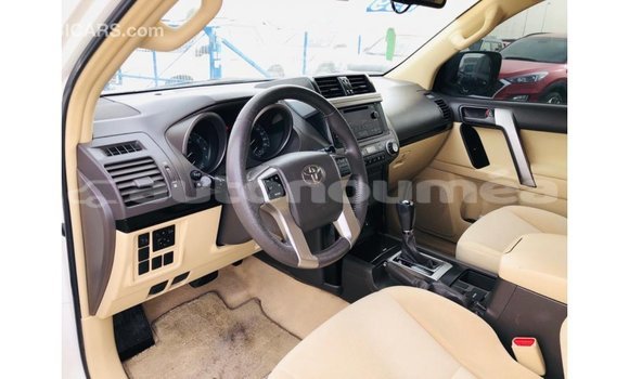 Buy Import Toyota Prado White Car in Import - Dubai in Iles Buy Import Toyota Prado White Car in Import - Dubai in Iles