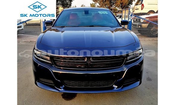 Buy Import Dodge Charger Blue Car in Import - Dubai in Iles Buy Import Dodge Charger Blue Car in Import - Dubai in Iles