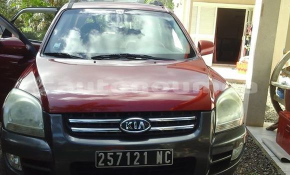 Buy Used Kia Sportage Other Car in Ouegoa in Nord