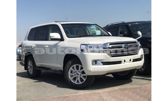 Acheter Import Voiture Toyota Land Cruiser Blanc à Import - Dubai, Iles
