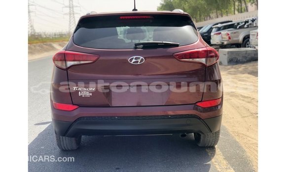 Acheter Import Voiture Hyundai Tucson Rouge à Import - Dubai, Iles Acheter Import Voiture Hyundai Tucson Rouge à Import - Dubai, Iles