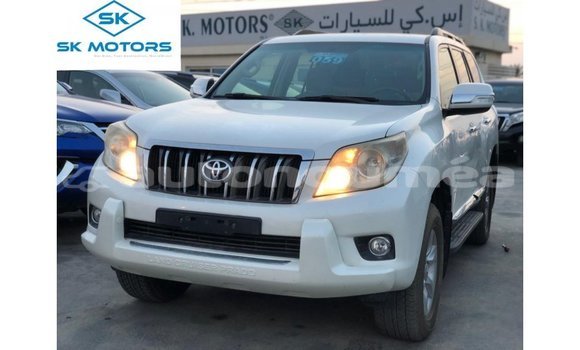 Buy Import Toyota Prado White Car in Import - Dubai in Iles