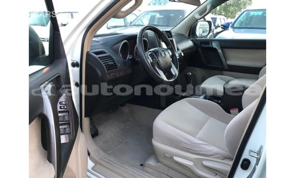 Buy Import Toyota Prado White Car in Import - Dubai in Iles Buy Import Toyota Prado White Car in Import - Dubai in Iles