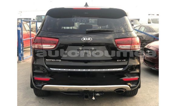 Buy Import Kia Sorento Black Car in Import - Dubai in Iles Buy Import Kia Sorento Black Car in Import - Dubai in Iles