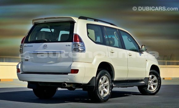 Buy Import Toyota Prado White Car in Import - Dubai in Iles Buy Import Toyota Prado White Car in Import - Dubai in Iles