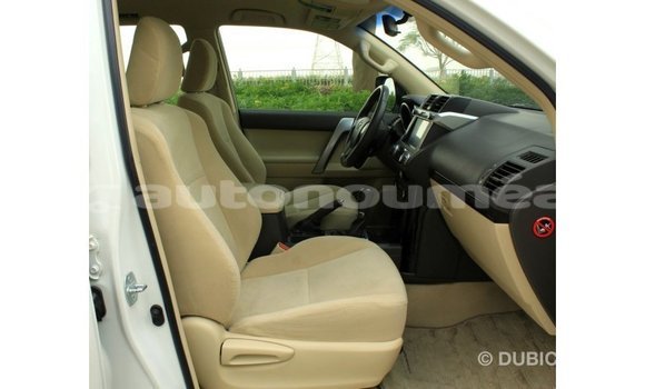 Buy Import Toyota Prado White Car in Import - Dubai in Iles Buy Import Toyota Prado White Car in Import - Dubai in Iles