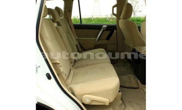 Buy Import Toyota Prado White Car in Import - Dubai in Iles Buy Import Toyota Prado White Car in Import - Dubai in Iles