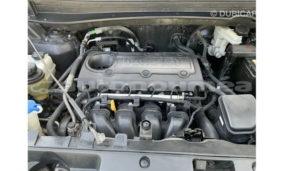 Buy Import Kia Sportage Black Car in Import - Dubai in Iles Buy Import Kia Sportage Black Car in Import - Dubai in Iles