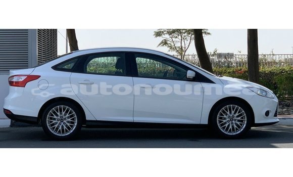 Buy Import Ford Focus White Car in Import - Dubai in Iles Buy Import Ford Focus White Car in Import - Dubai in Iles