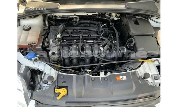 Buy Import Ford Focus White Car in Import - Dubai in Iles Buy Import Ford Focus White Car in Import - Dubai in Iles