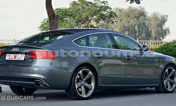 Buy Import Audi 100 Other Car in Import - Dubai in Iles Buy Import Audi 100 Other Car in Import - Dubai in Iles