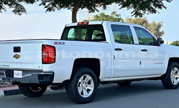 Buy Import Chevrolet Silverado White Car in Import - Dubai in Iles Buy Import Chevrolet Silverado White Car in Import - Dubai in Iles