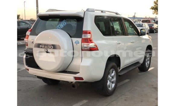Acheter Import Voiture Toyota Prado Blanc à Import - Dubai, Iles Acheter Import Voiture Toyota Prado Blanc à Import - Dubai, Iles