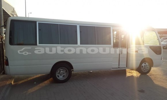 Buy Import Toyota Coaster White Car in Import - Dubai in Iles Buy Import Toyota Coaster White Car in Import - Dubai in Iles