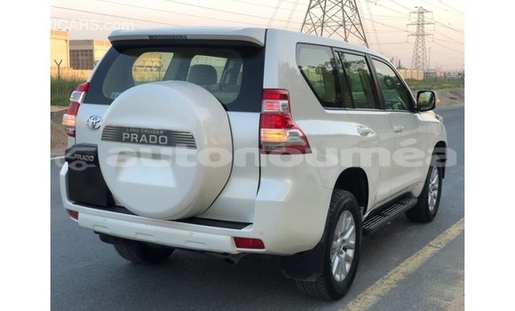 Buy Import Toyota Prado White Car in Import - Dubai in Iles Buy Import Toyota Prado White Car in Import - Dubai in Iles