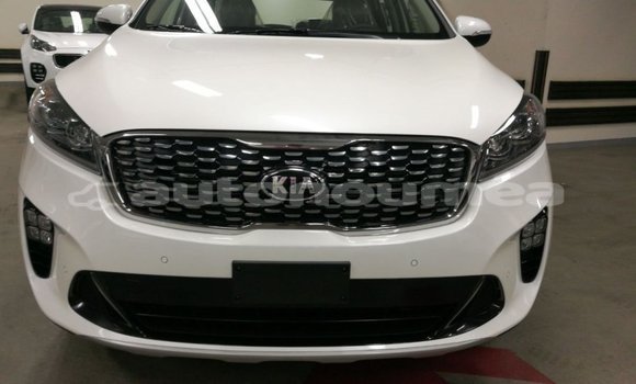 Acheter Import Voiture Kia Sorento Blanc à Import - Dubai, Iles