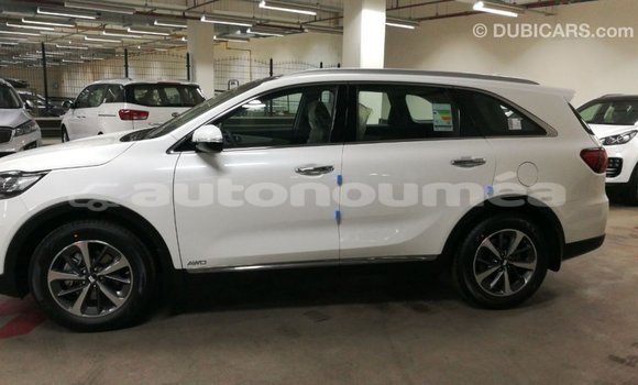 Buy Import Kia Sorento White Car in Import - Dubai in Iles Buy Import Kia Sorento White Car in Import - Dubai in Iles