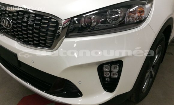 Buy Import Kia Sorento White Car in Import - Dubai in Iles Buy Import Kia Sorento White Car in Import - Dubai in Iles