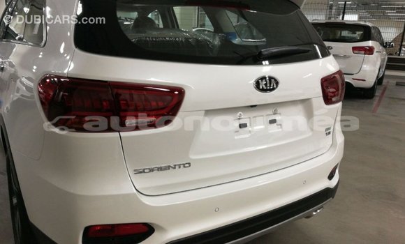 Buy Import Kia Sorento White Car in Import - Dubai in Iles Buy Import Kia Sorento White Car in Import - Dubai in Iles