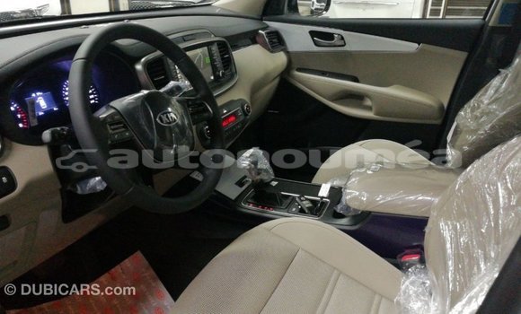 Buy Import Kia Sorento White Car in Import - Dubai in Iles Buy Import Kia Sorento White Car in Import - Dubai in Iles