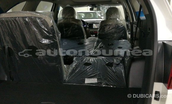 Buy Import Kia Sorento White Car in Import - Dubai in Iles Buy Import Kia Sorento White Car in Import - Dubai in Iles