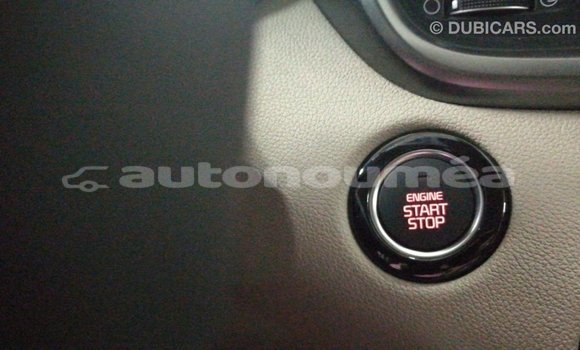 Buy Import Kia Sorento White Car in Import - Dubai in Iles Buy Import Kia Sorento White Car in Import - Dubai in Iles