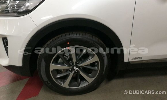 Buy Import Kia Sorento White Car in Import - Dubai in Iles Buy Import Kia Sorento White Car in Import - Dubai in Iles