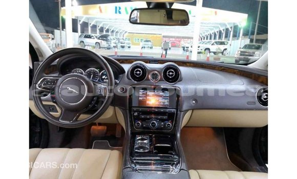 Buy Import Jaguar XJ Black Car in Import - Dubai in Iles Buy Import Jaguar XJ Black Car in Import - Dubai in Iles