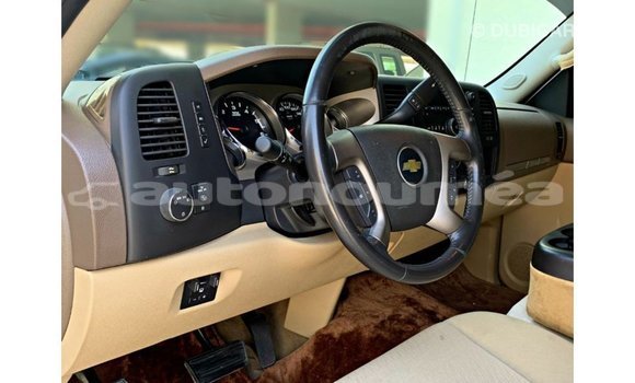 Buy Import Chevrolet Silverado White Car in Import - Dubai in Iles Buy Import Chevrolet Silverado White Car in Import - Dubai in Iles