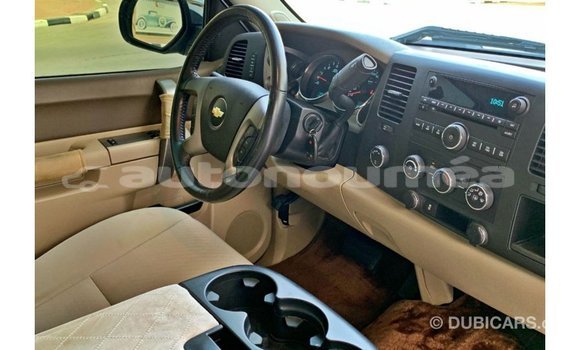 Buy Import Chevrolet Silverado White Car in Import - Dubai in Iles Buy Import Chevrolet Silverado White Car in Import - Dubai in Iles