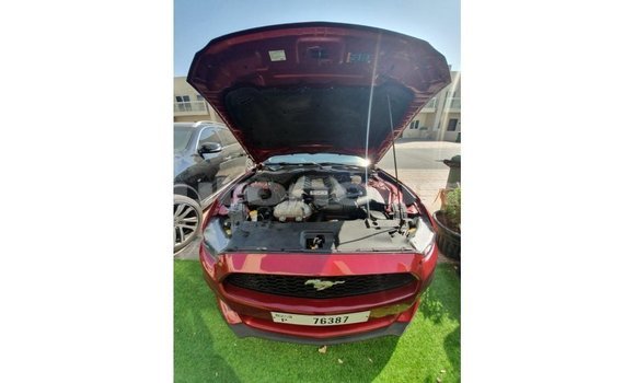 Acheter Import Voiture Ford Mustang Rouge à Import - Dubai, Iles Acheter Import Voiture Ford Mustang Rouge à Import - Dubai, Iles