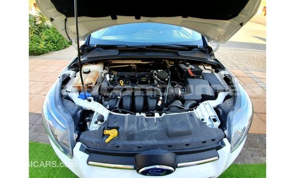 Buy Import Ford Focus White Car in Import - Dubai in Iles Buy Import Ford Focus White Car in Import - Dubai in Iles