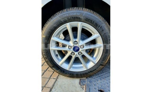 Buy Import Ford Focus White Car in Import - Dubai in Iles Buy Import Ford Focus White Car in Import - Dubai in Iles