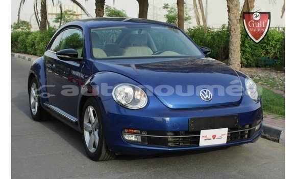Acheter Import Voiture Volkswagen Beetle Bleu à Import - Dubai, Iles