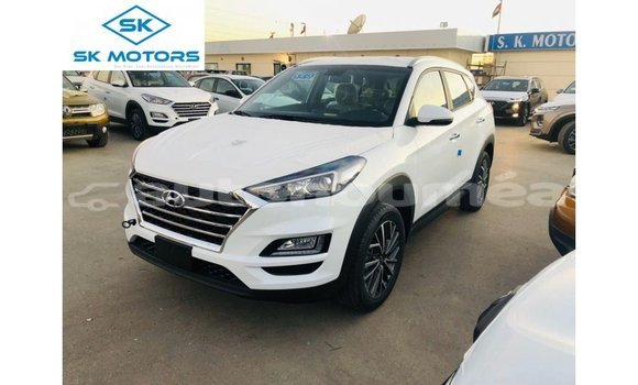 Acheter Import Voiture Hyundai Tucson Blanc à Import - Dubai, Iles