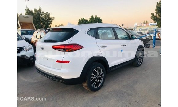 Acheter Import Voiture Hyundai Tucson Blanc à Import - Dubai, Iles Acheter Import Voiture Hyundai Tucson Blanc à Import - Dubai, Iles