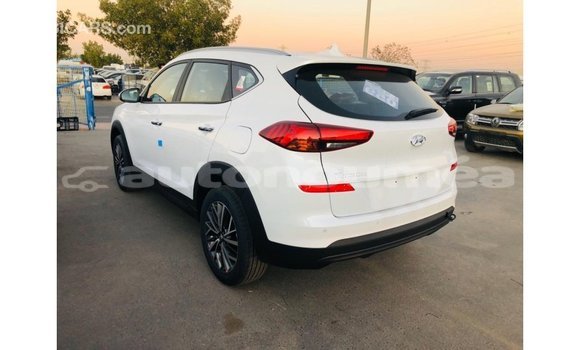 Acheter Import Voiture Hyundai Tucson Blanc à Import - Dubai, Iles Acheter Import Voiture Hyundai Tucson Blanc à Import - Dubai, Iles